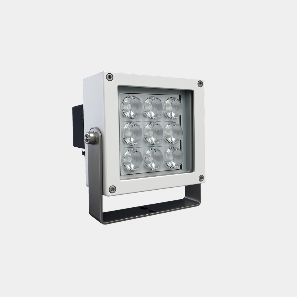 Neon Flex LED